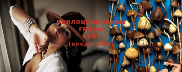 стаф Переславль-Залесский