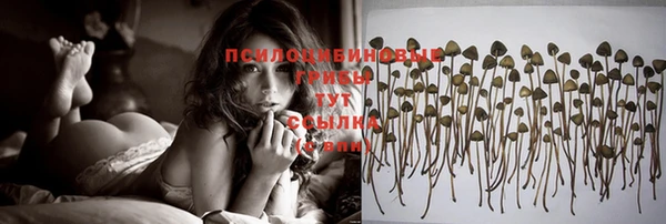 соль ск Пестово